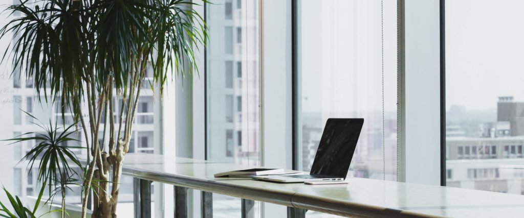 hero bg 1024x427.jpg